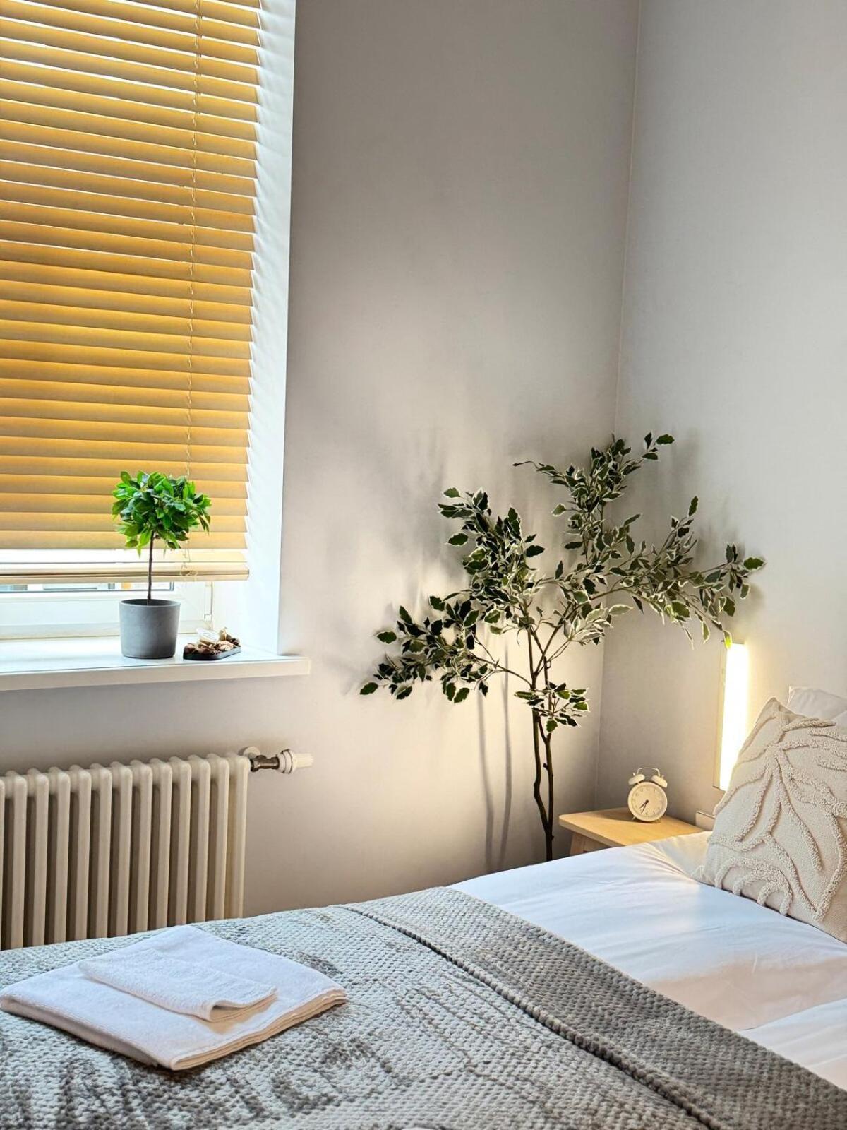 Courtyard Kalnina Apartment Riga Exterior photo